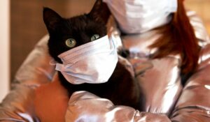 Read more about the article Болеют ли коронавирусм животные: кошки и собаки | 7petdays